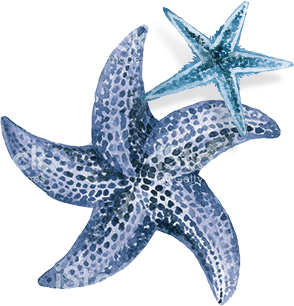 star-fish